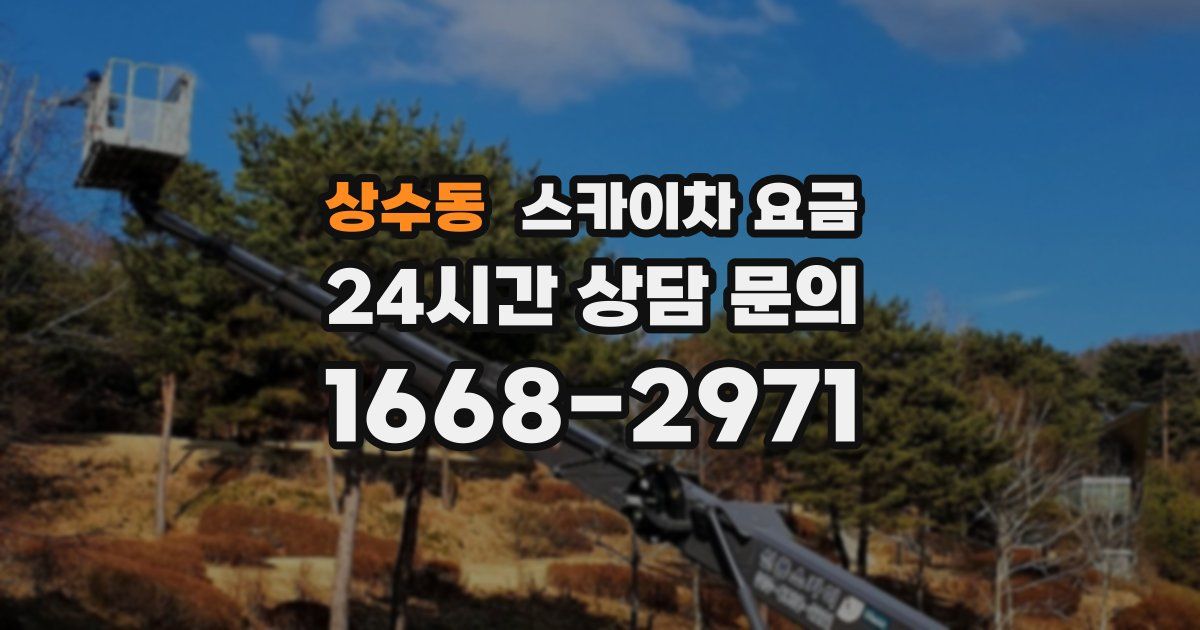 상수동 스카이차 요금