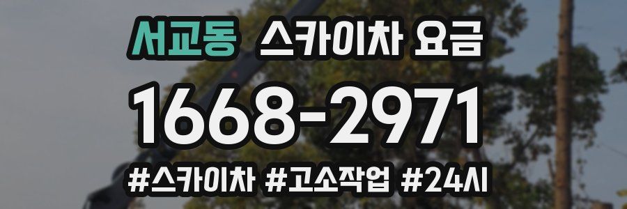 서교동 스카이차 요금