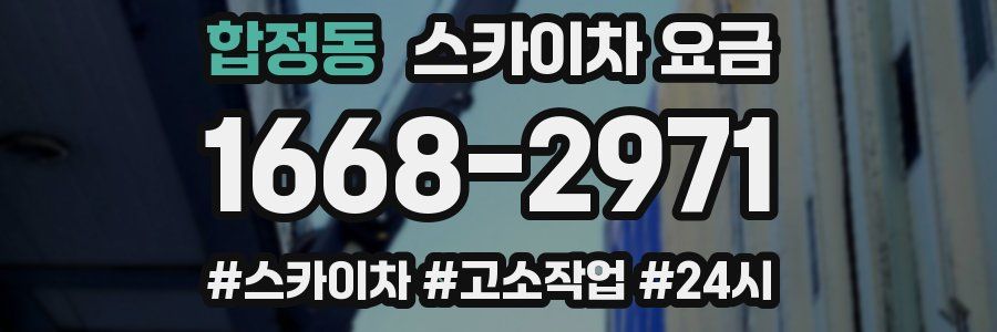 합정동 스카이차 요금