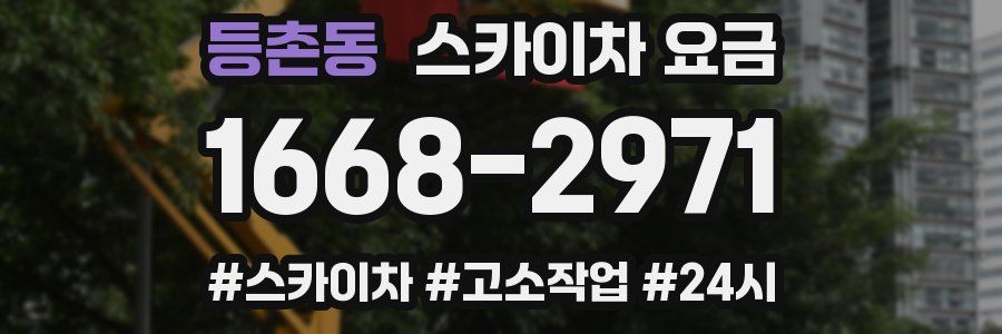 등촌동 스카이차 요금