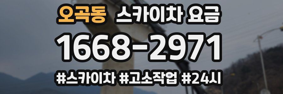 오곡동 스카이차 요금