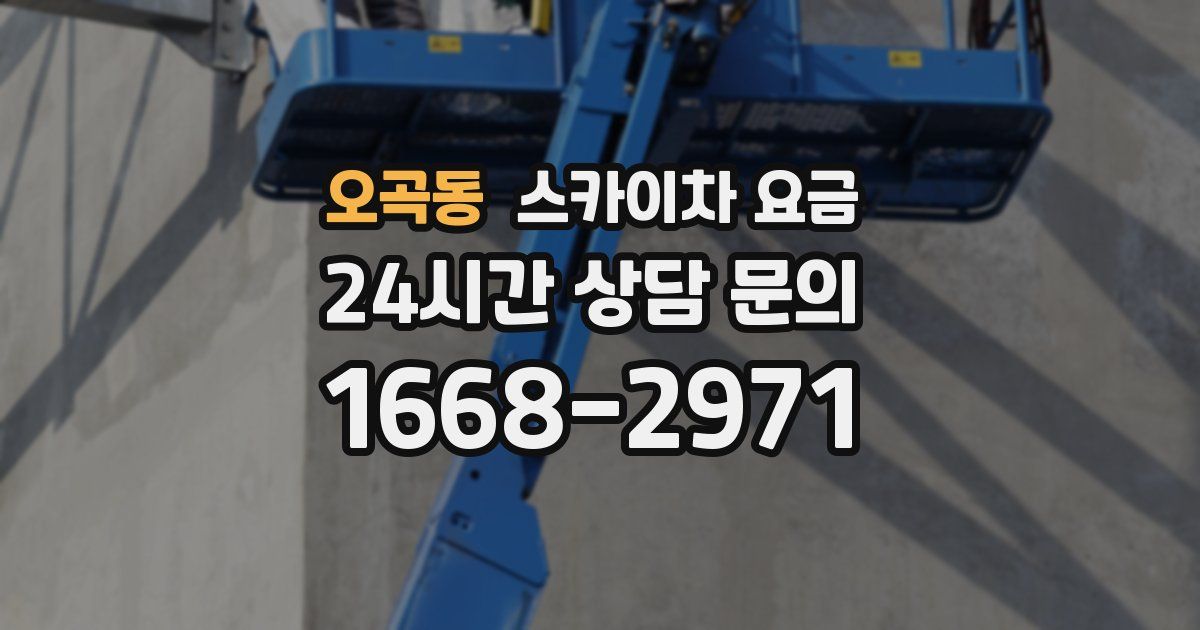 오곡동 스카이차 요금