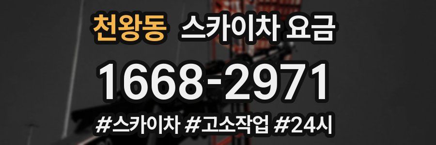 천왕동 스카이차 요금