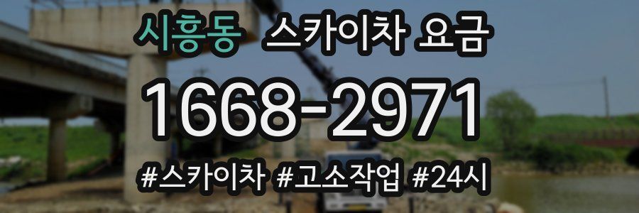 시흥동 스카이차 요금