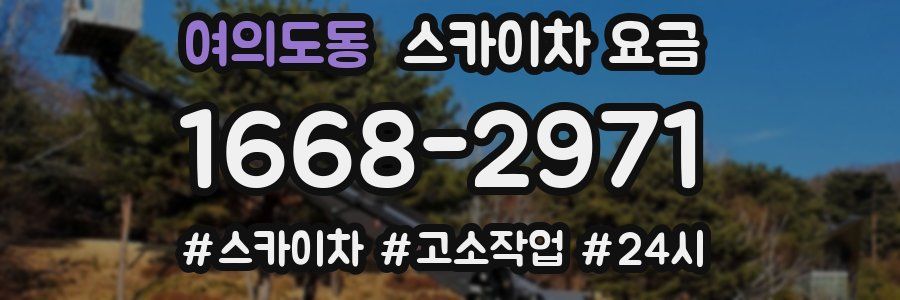 여의도동 스카이차 요금