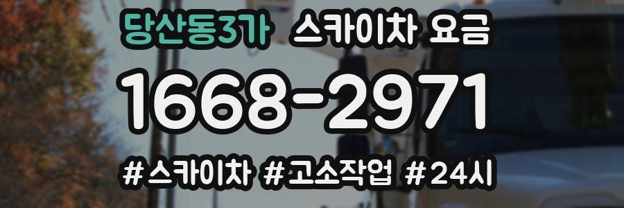 당산동3가 스카이차 요금