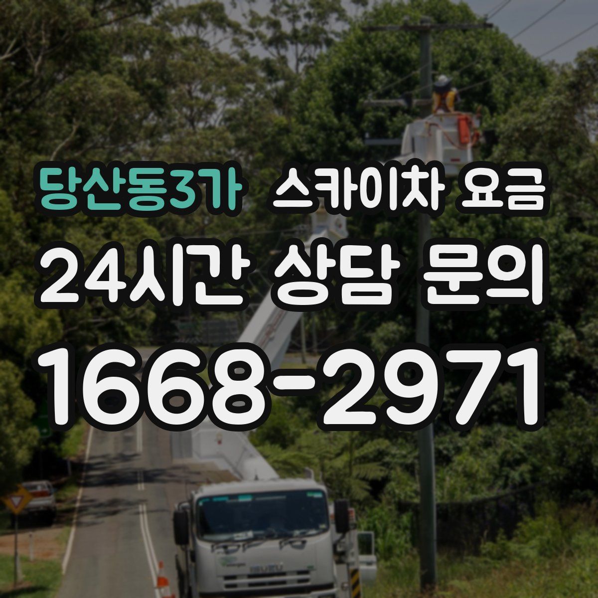 당산동3가 스카이차 요금