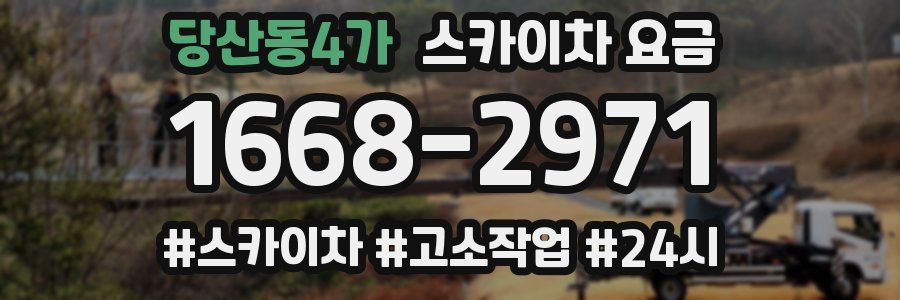 당산동4가 스카이차 요금