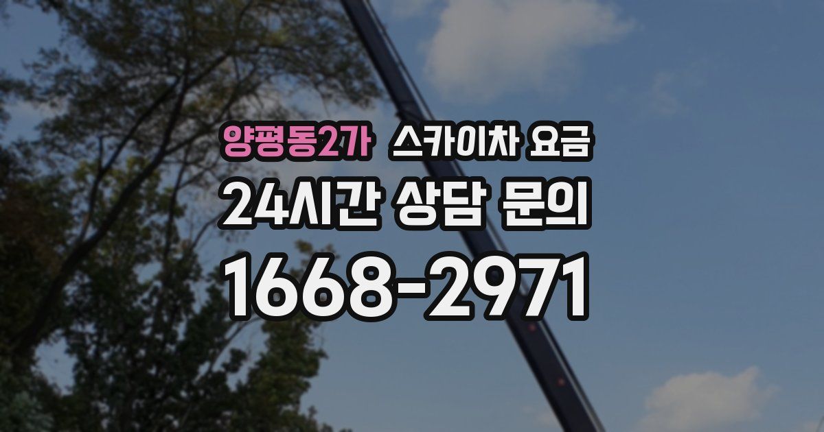 양평동2가 스카이차 요금