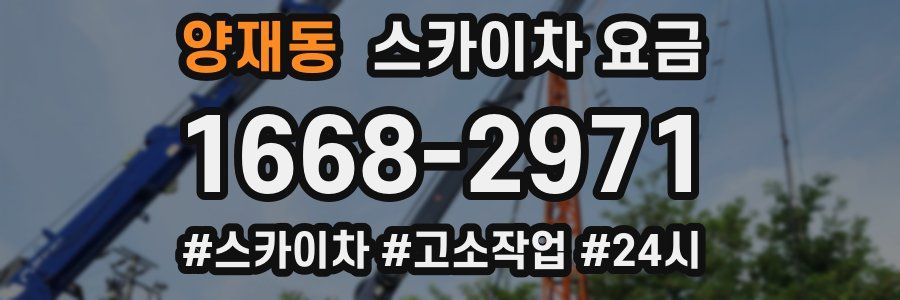 양재동 스카이차 요금