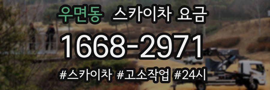 우면동 스카이차 요금
