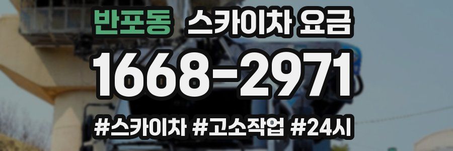 반포동 스카이차 요금