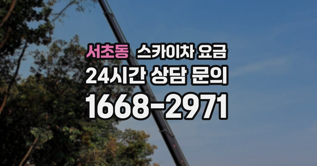 서초동 스카이차 요금