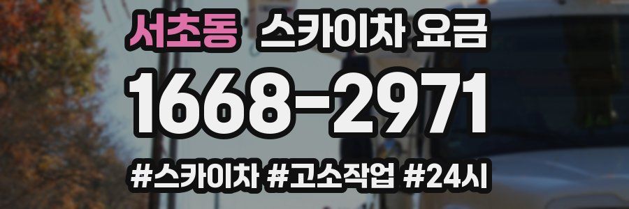 서초동 스카이차 요금