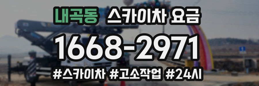 내곡동 스카이차 요금