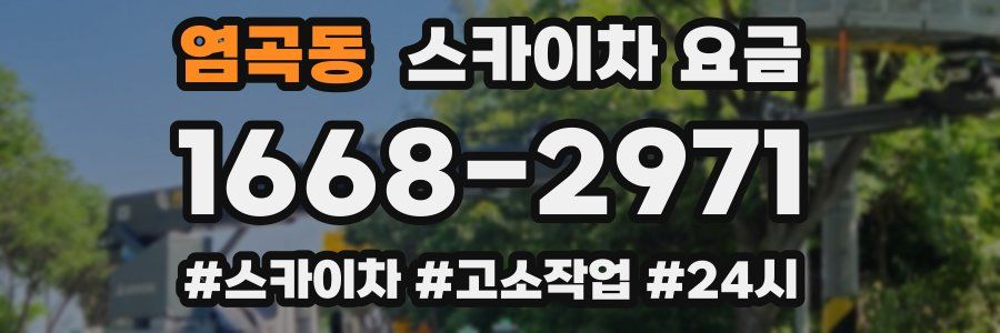 염곡동 스카이차 요금