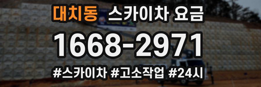 대치동 스카이차 요금