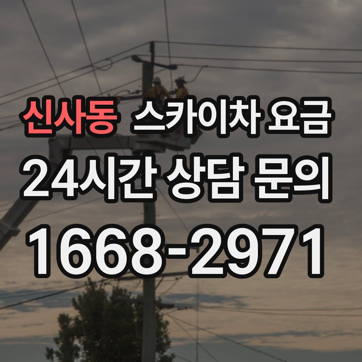 신사동 스카이차 요금 간판 교체 전 예상 범위를 잡는 방법