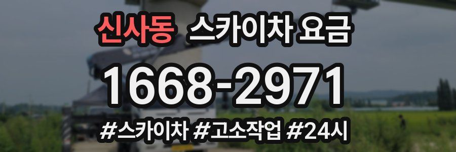 신사동 스카이차 요금