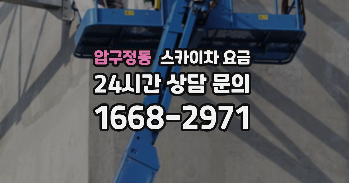 압구정동 스카이차 요금