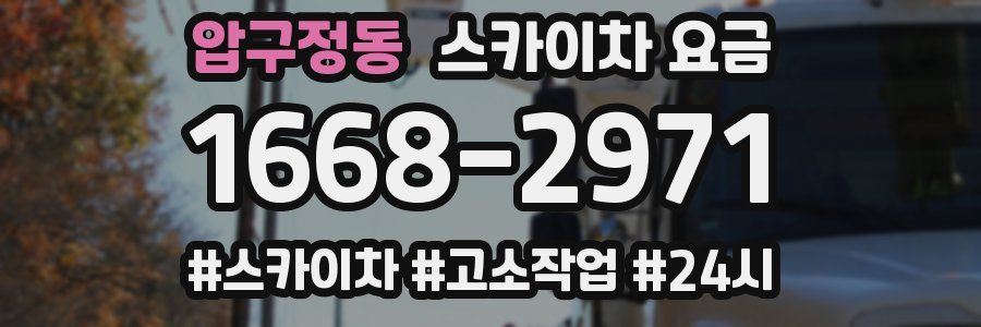 압구정동 스카이차 요금