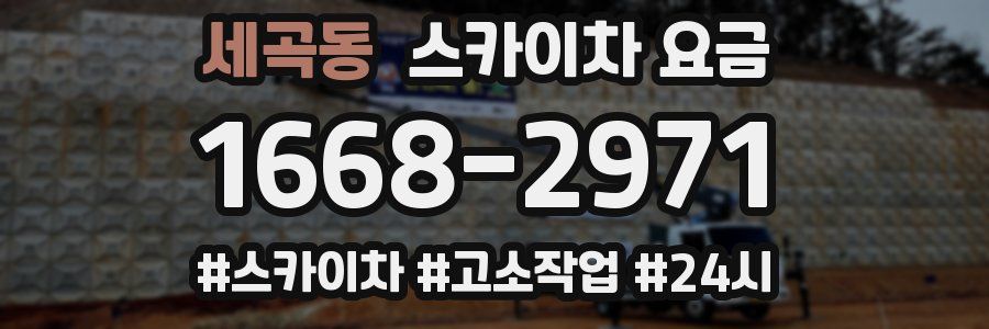 세곡동 스카이차 요금