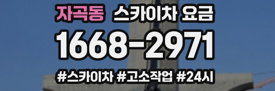 자곡동 스카이차 요금