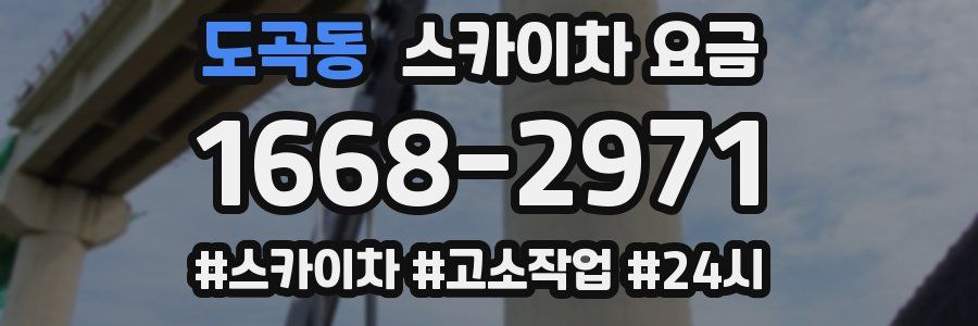 도곡동 스카이차 요금