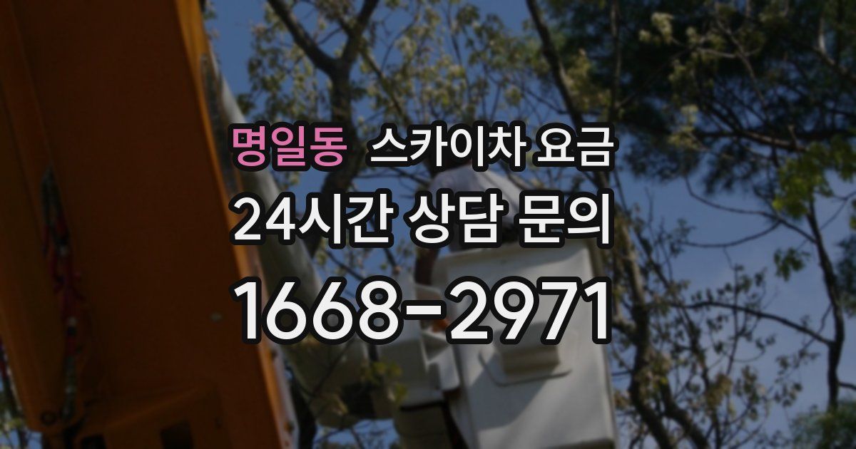 명일동 스카이차 요금