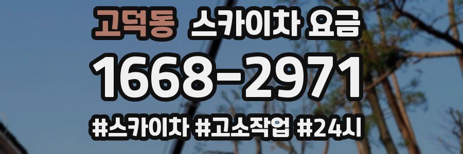 고덕동 스카이차 요금