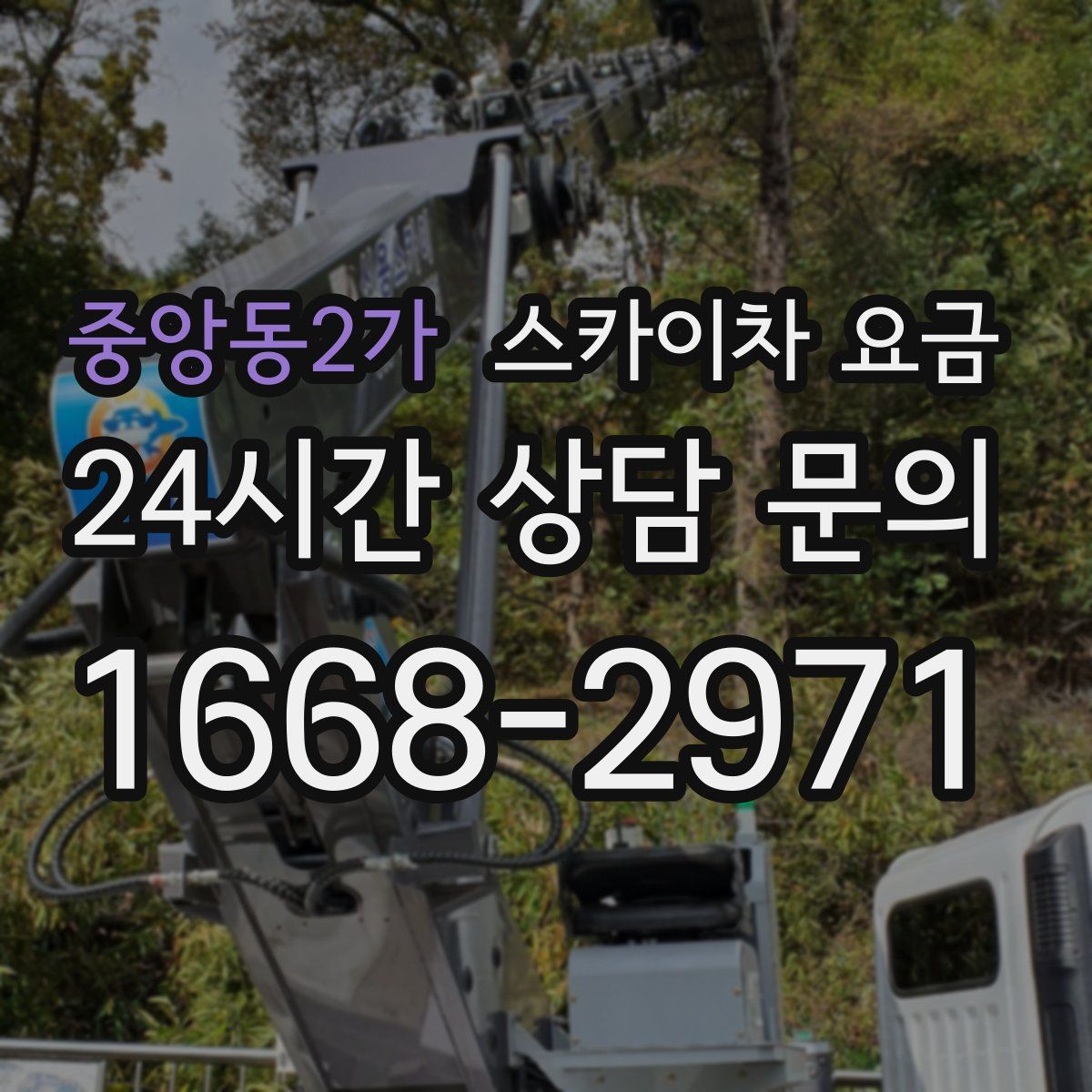 중앙동2가 스카이차 요금