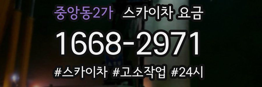 중앙동2가 스카이차 요금