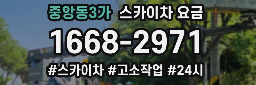 중앙동3가 스카이차 요금