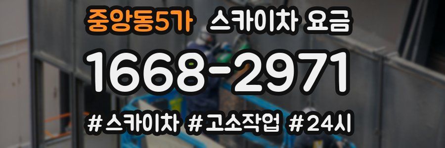 중앙동5가 스카이차 요금