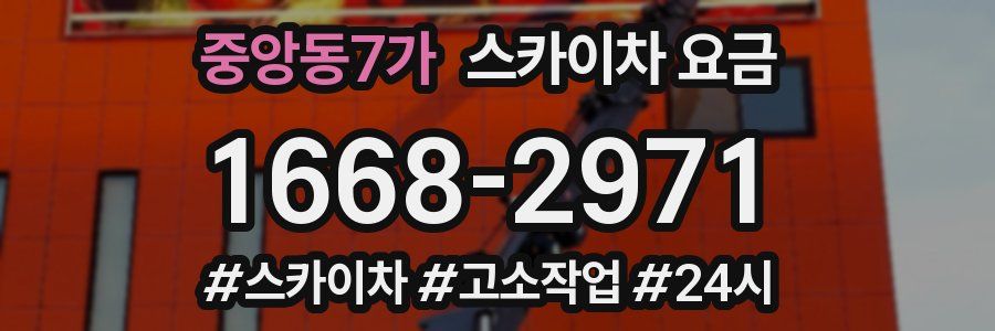 중앙동7가 스카이차 요금