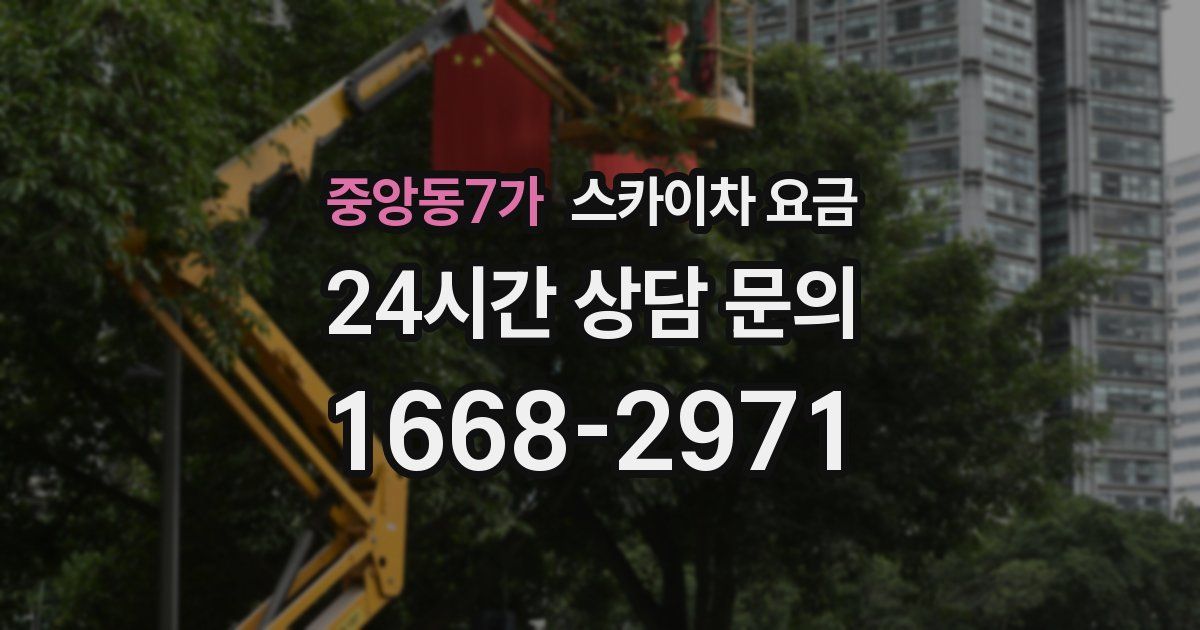 중앙동7가 스카이차 요금