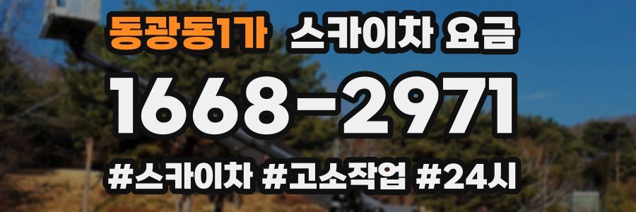 동광동1가 스카이차 요금