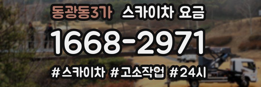 동광동3가 스카이차 요금