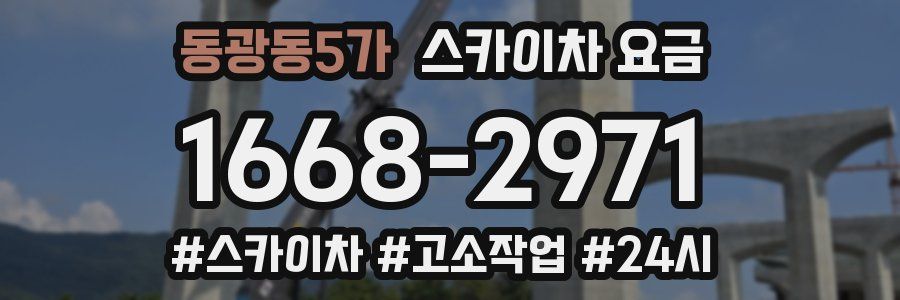 동광동5가 스카이차 요금