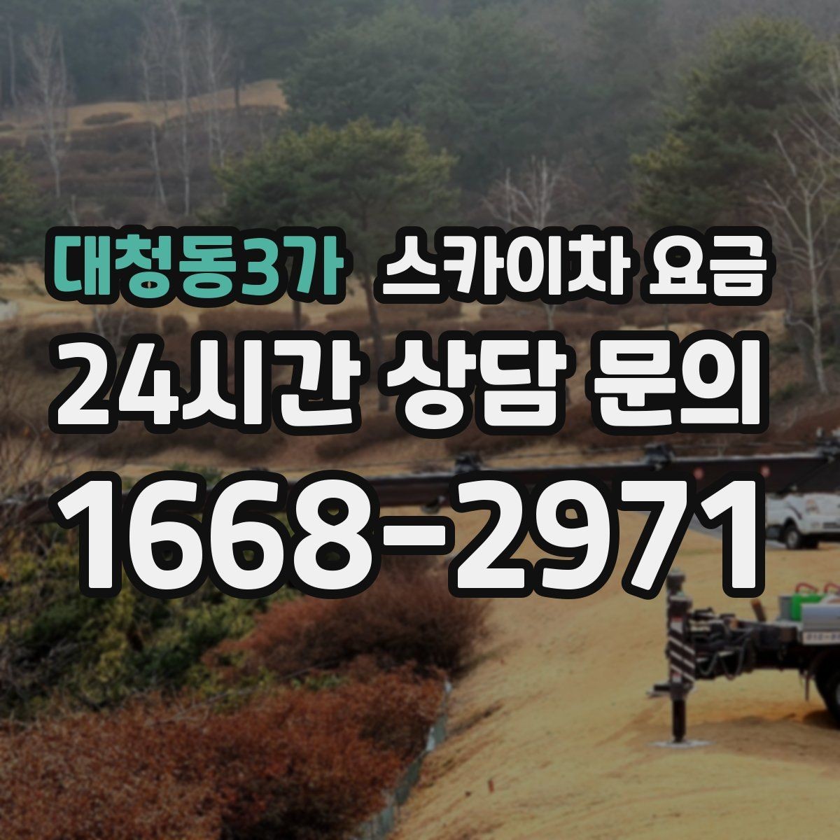 대청동3가 스카이차 요금 예약 호출과 당일 호출 중 무엇이 유리할까