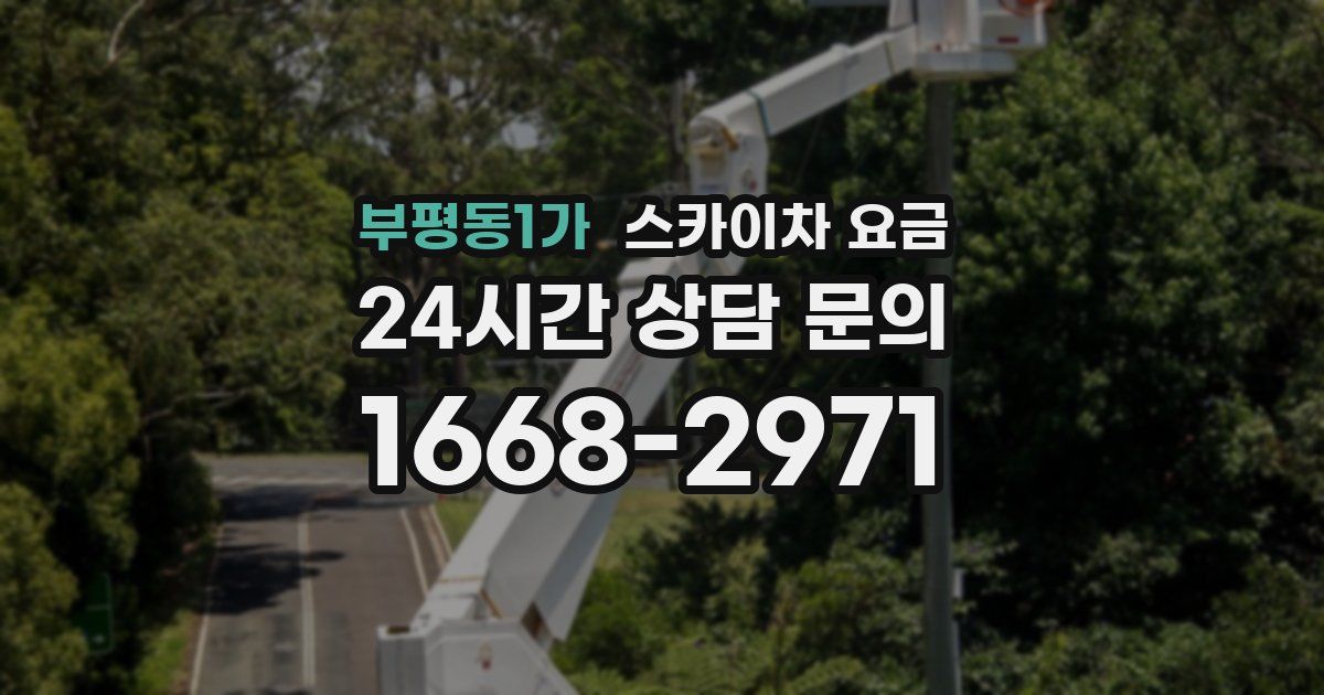 부평동1가 스카이차 요금