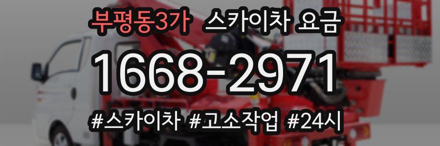 부평동3가 스카이차 요금