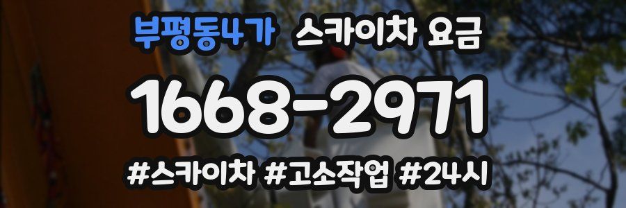 부평동4가 스카이차 요금