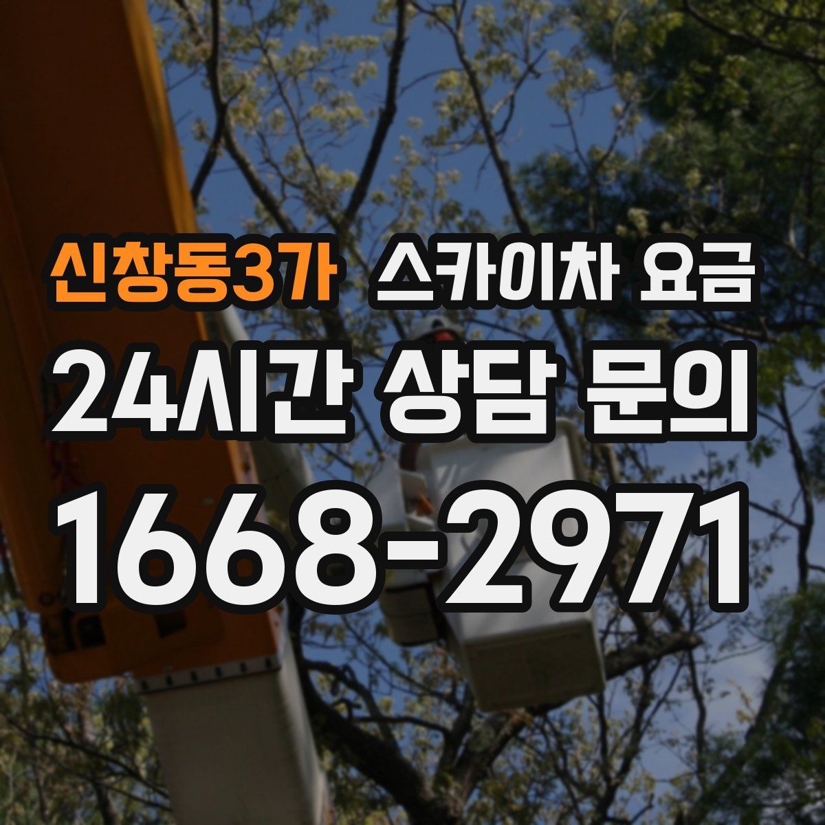 신창동3가 스카이차 요금