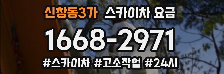 신창동3가 스카이차 요금