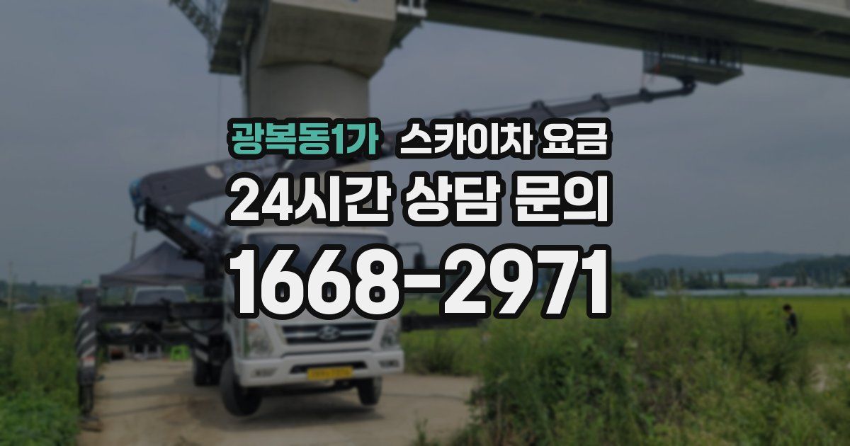 광복동1가 스카이차 요금