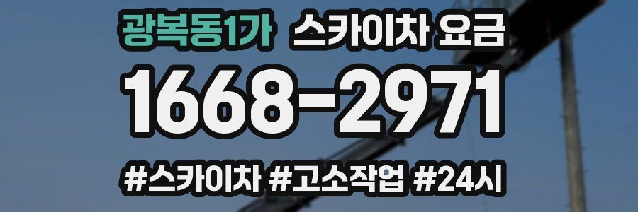 광복동1가 스카이차 요금