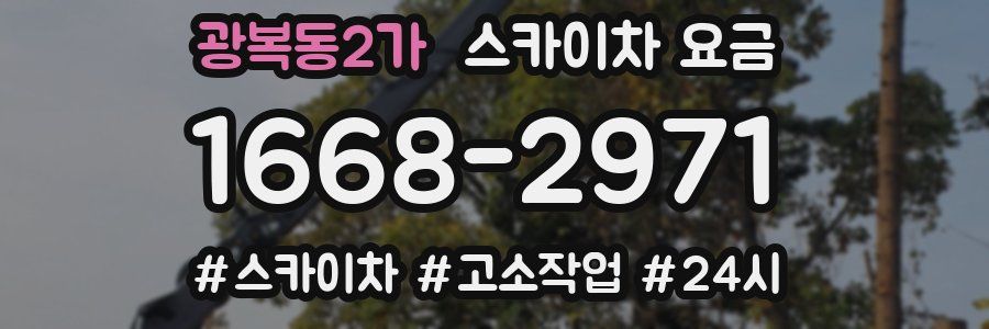 광복동2가 스카이차 요금