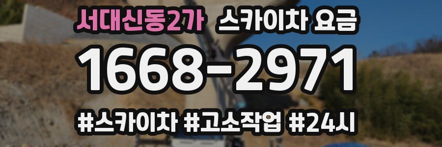 서대신동2가 스카이차 요금