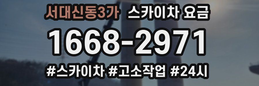 서대신동3가 스카이차 요금